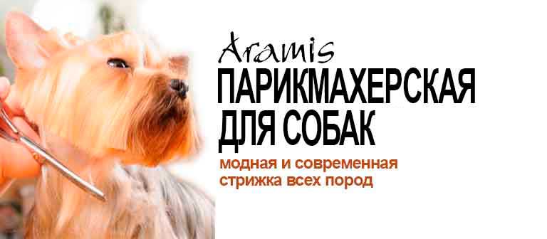СТРИЖКА СОБАК