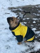 Resize-Image1543681052240