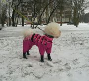 Resize-Image1547715839118