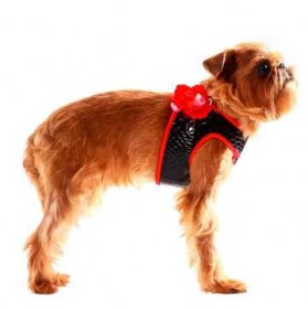 АКСЕССУАРЫ