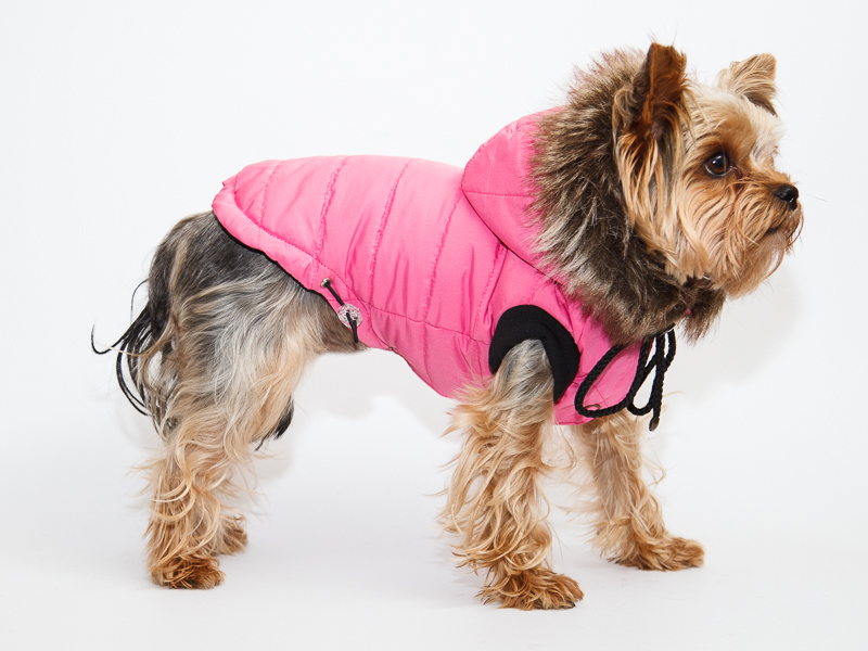 Aramis suņu apģērbs ziemas jaciņa ar kapuci