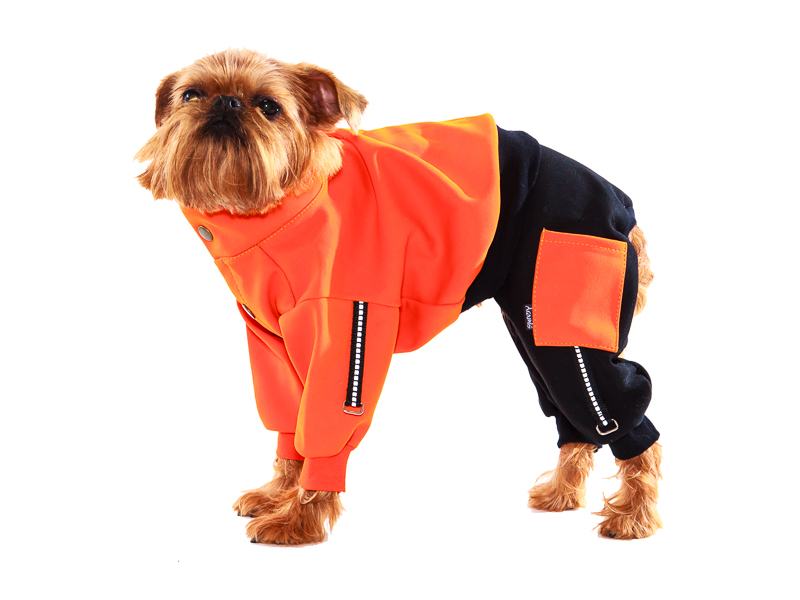 Suņu sporta kostīms no Goretex auduma,M