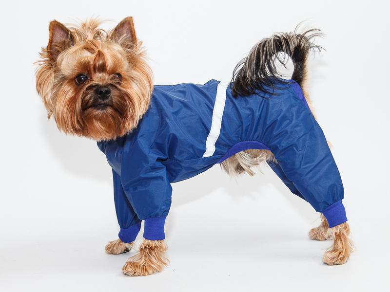 Aramis  suņu apģērbs -  lietusmētelis