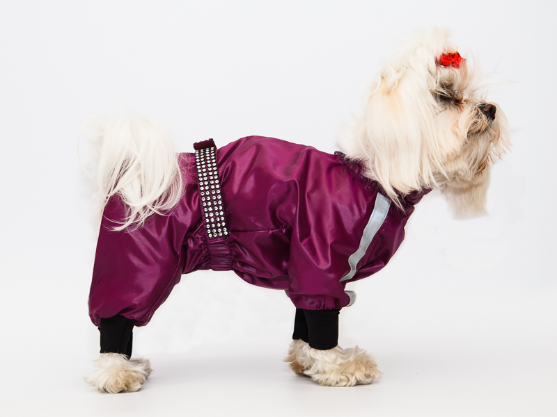  Aramis suņu apģērbs .Putekšnīca ar atstarotāju , S