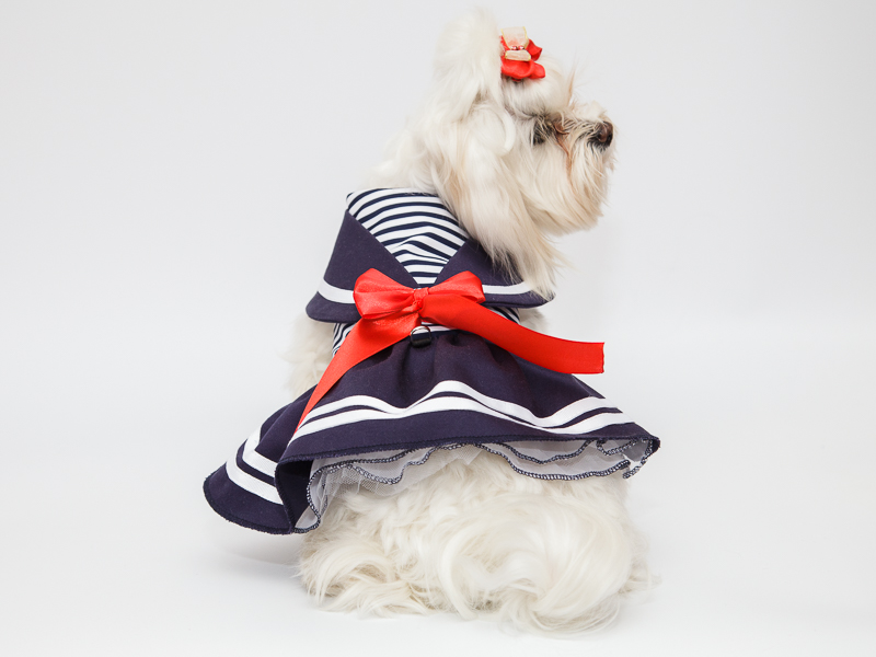 Ekskluzīva jūras  kleita-krūšu siksnīņa suņitīm,S 