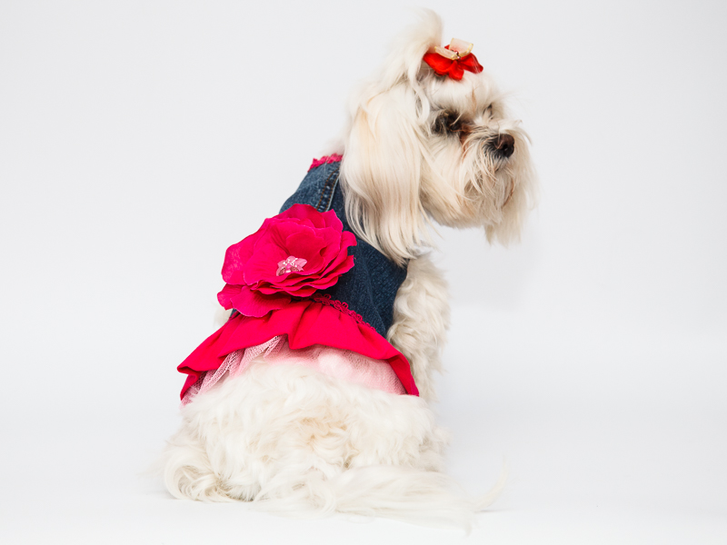 Džinsa kleita ar ziedu sunitīm,XS- S