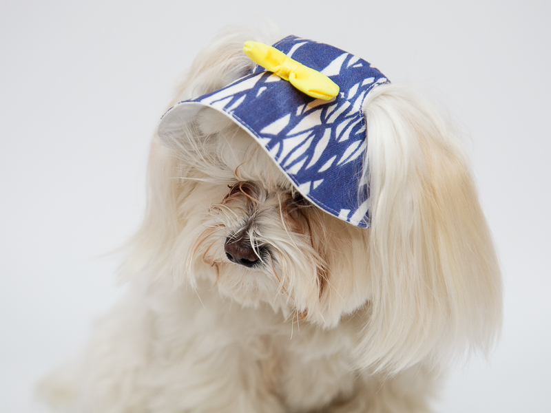 Aksesuāri suņiem. Suņu panama