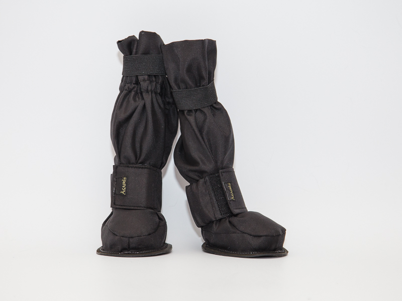 Suņu zābaciņi (iepakojumā 4 gabali)