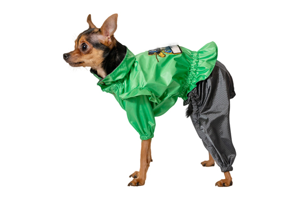 Elegants suņu mētelis lietainam laikam