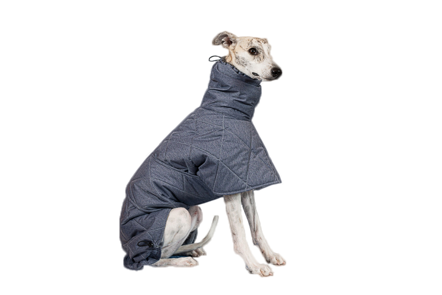 Aramis suņu ziemas veste-metēlis,XL_product_product_product_product_product_product_product_product_product Aramis suņu ziemas veste-metēlis,XL
