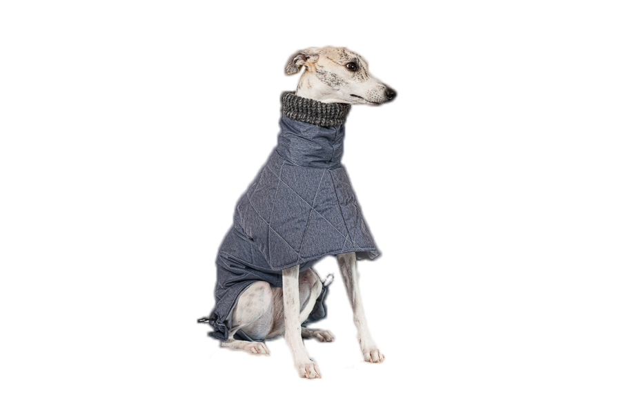 Aramis suņu ziemas veste-metēlis,XL_product_product_product_product_product_product_product_product_product Aramis suņu ziemas veste-metēlis,XL