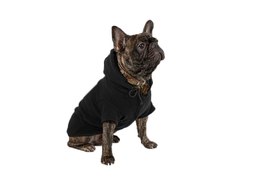 Siltā   baika sunitīm,XXL