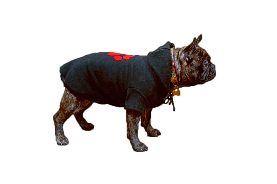 Siltā   baika sunitīm,XL