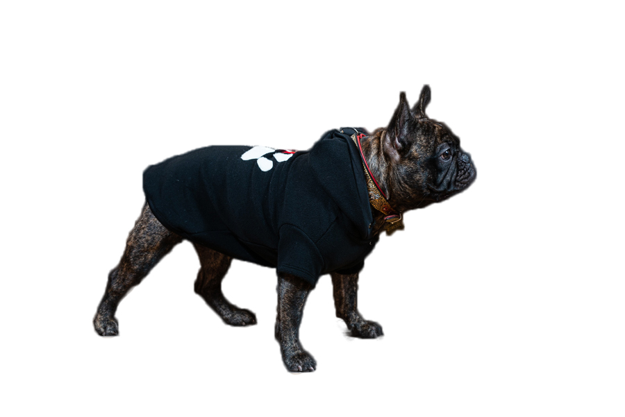 Siltā   baika sunitīm,XXL