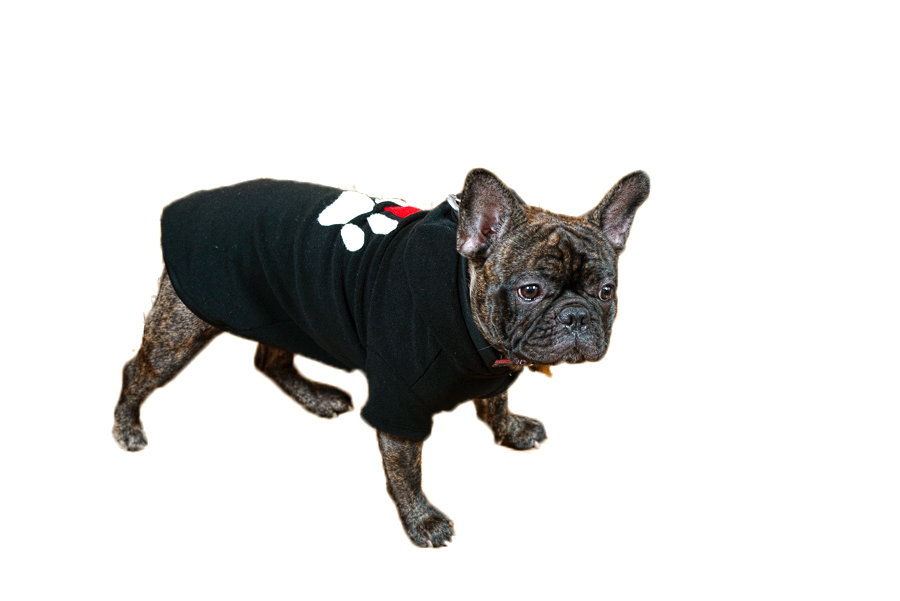 Siltā   baika sunitīm,XXL