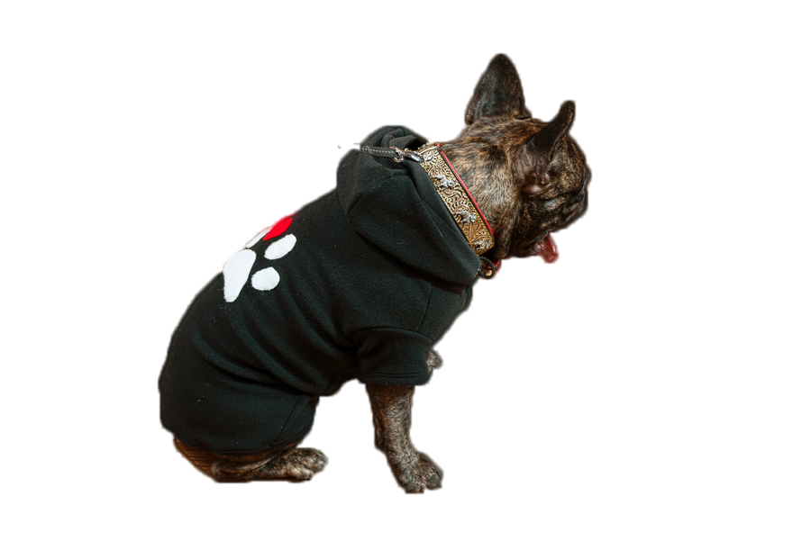 Siltā   baika sunitīm,XXL