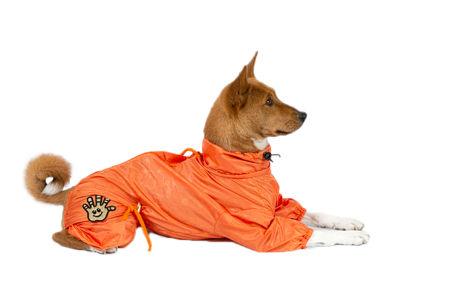 Aramis suņu apģērbs - lietusmētelis,kombinezons,L_product_product_product_product_product Aramis suņu apģērbs - lietusmētelis,kombinezons,L