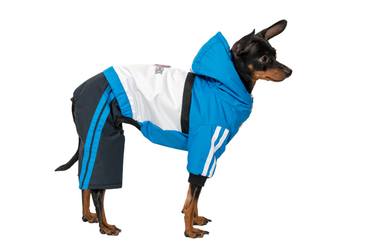 Siltināts suņu ziemas kombinezons ar kapuci,S_product_product_product_product_product_product_product_product_product_product Siltināts suņu ziemas kombinezons ar kapuci,S