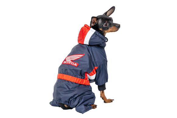 Siltināts suņu ziemas kombinezons ar kapuci,S_product_product_product_product_product_product_product_product Siltināts suņu ziemas kombinezons ar kapuci,S