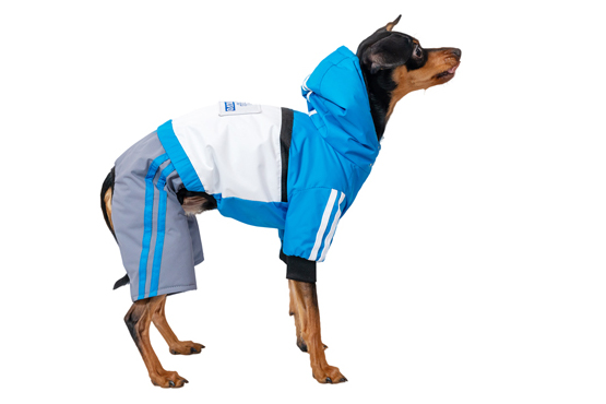 Siltināts suņu ziemas kombinezons ar kapuci,S