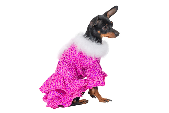 Ziemasssvētku kleitiņa sunītim, S