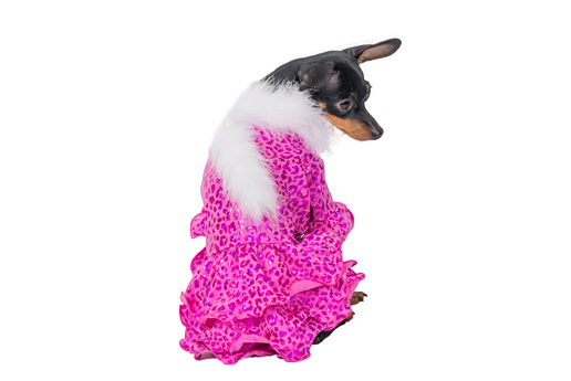 Ziemasssvētku kleitiņa sunītim, S_product Ziemasssvētku kleitiņa sunītim, S