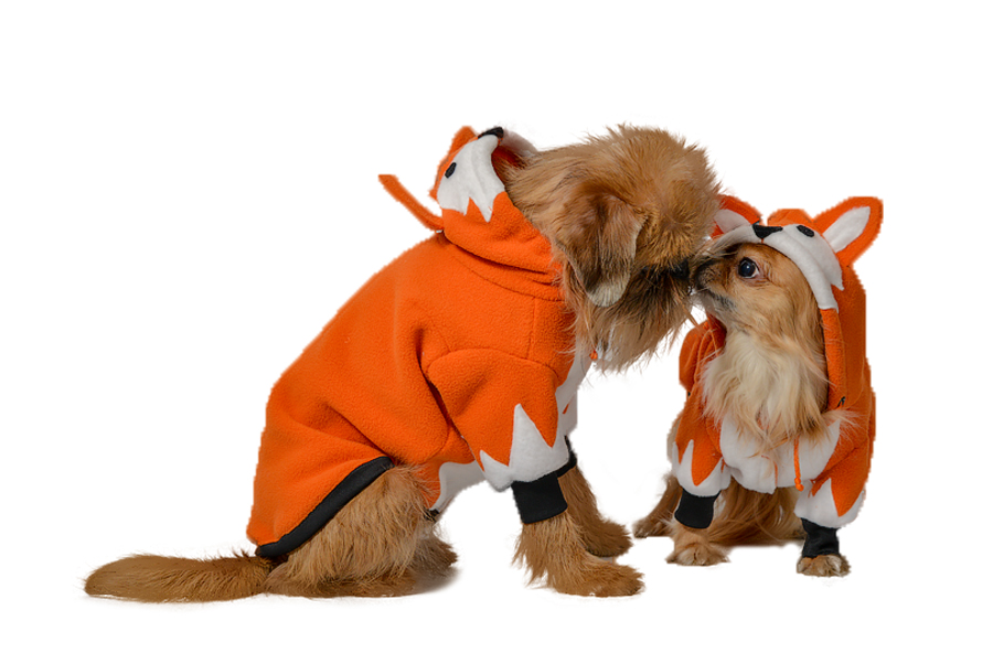 Komplekts:Siltā baika Lapsa bērnam un sunitīm Siltā baika Lapsa sunitīm,S+XS