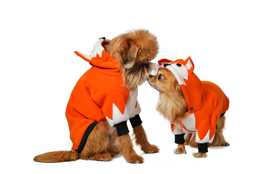 Komplekts:Siltā baika Lapsa bērnam un sunitīm Siltā baika sunitīm,S