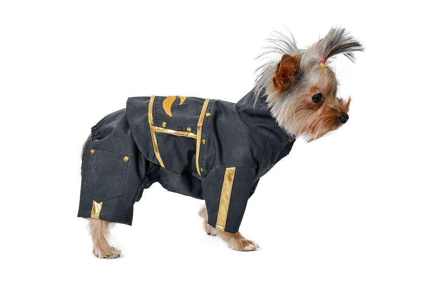 Aramis  suņu apģērbs.Ekskluzīvs kombinezons Rokeris,XS