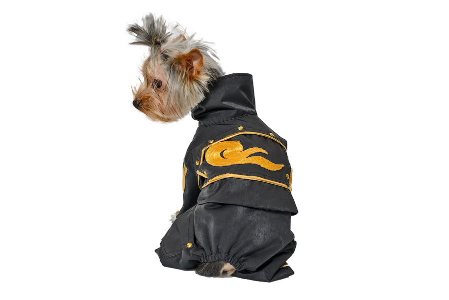 Aramis suņu apģērbs.Ekskluzīvs kombinezons Rokeris,XS Aramis suņu apģērbs kombinezons