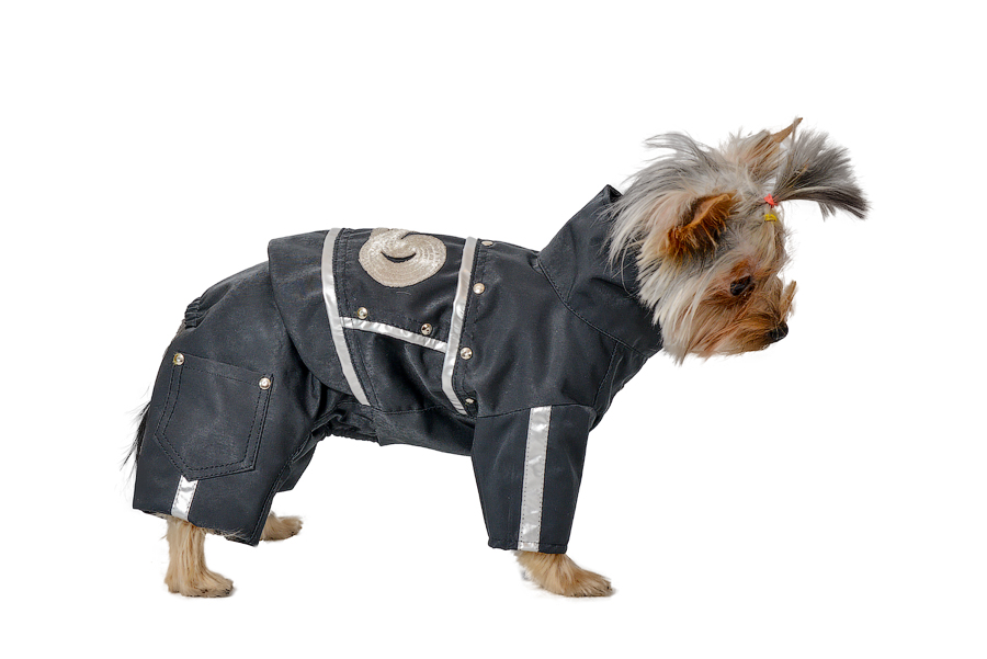 Aramis suņu apģērbs.Ekskluzīvs kombinezons Rokeris,XS Aramis suņu apģērbs kombinezons