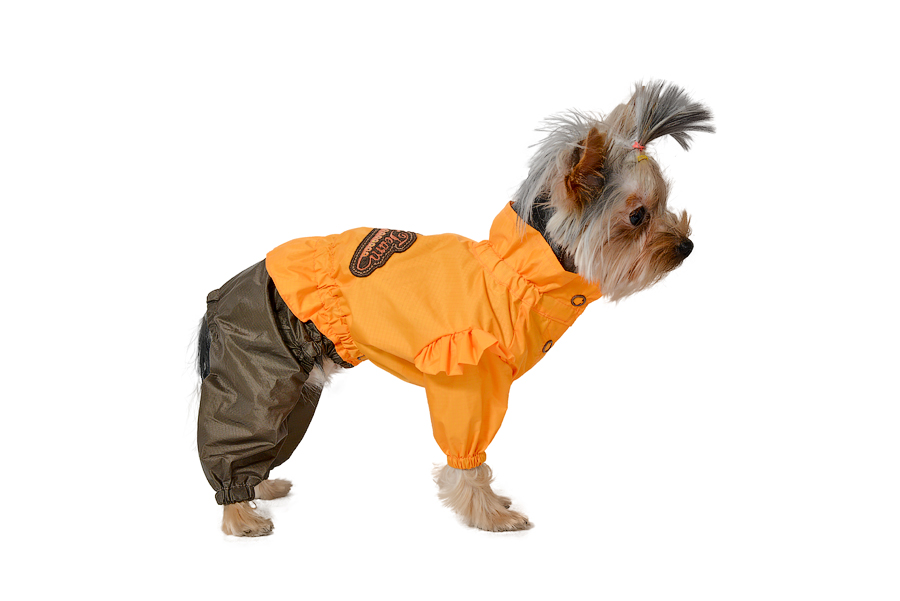 Elegants suņu lietusmētelis