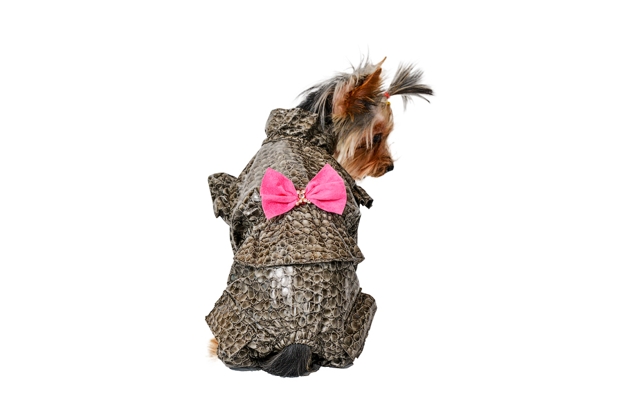 Elegants suņu lietusmētelis