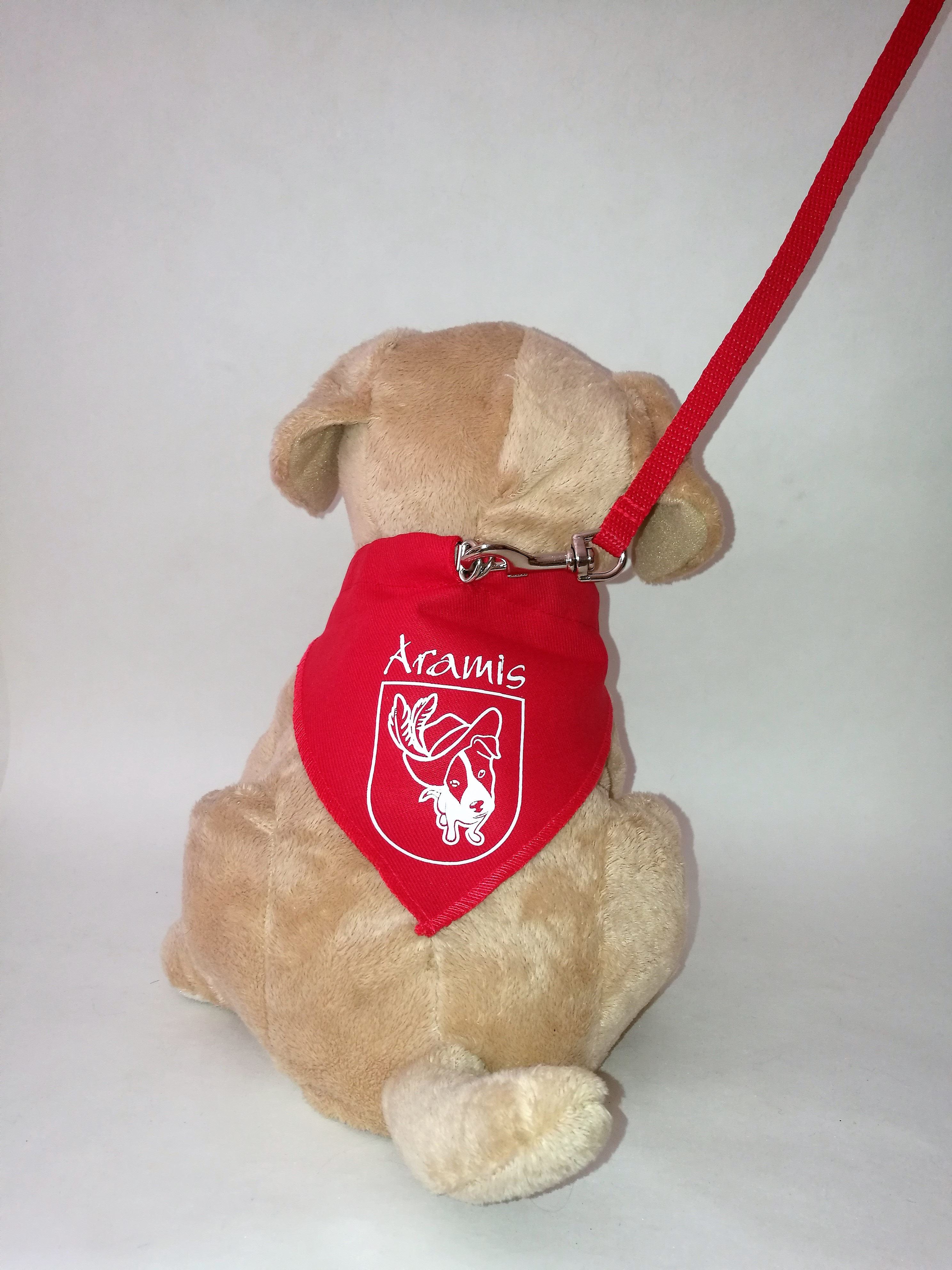 Aksesuārs suņiem. Bandana,apkakle