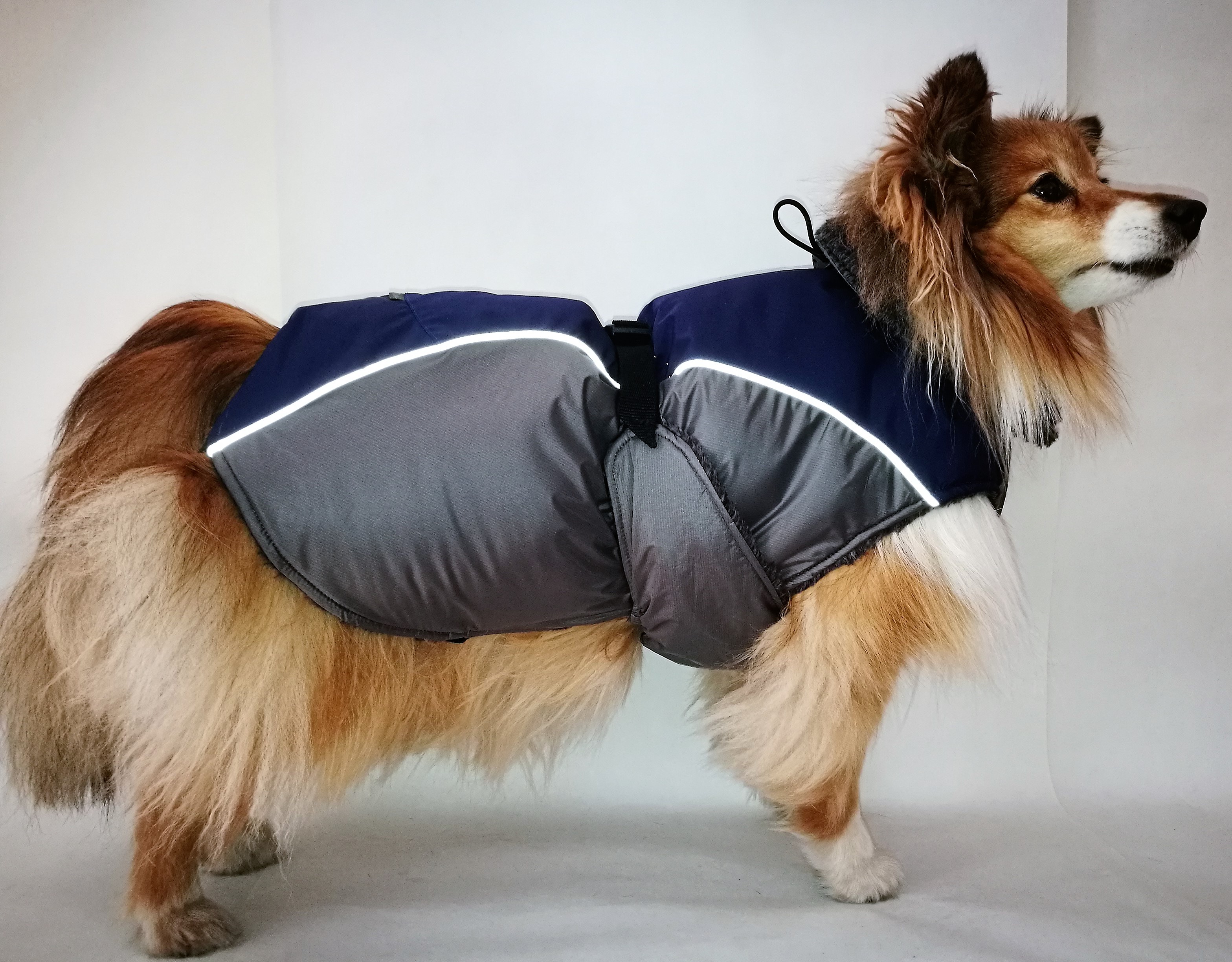 Aramis suņu ziemas  veste-metēlis, L