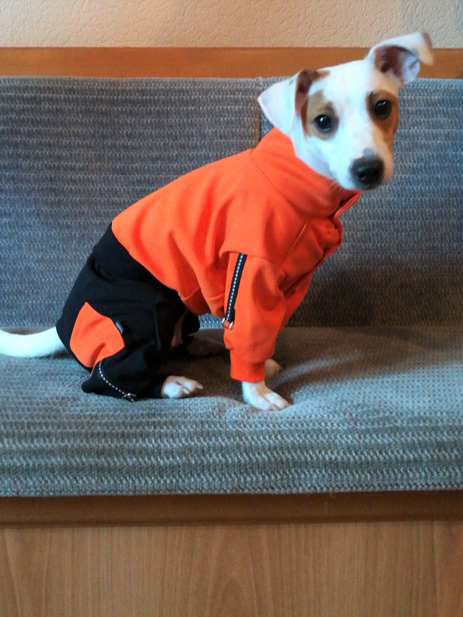 Suņu ūdensnecaurlaidīgs kombinezons,S