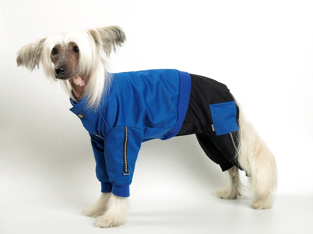 Suņu sporta kostīms no Goretex auduma