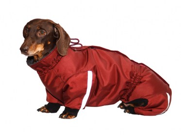 Siltināts suņu kombinezons  ar atstarotāju( taksis), XL
