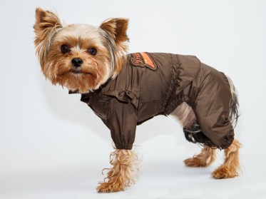 Elegants suņu mētelis lietainam laikam