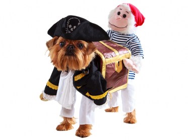 Ekskluzīvas drēbes suņiem. Karnevāla kostīms 