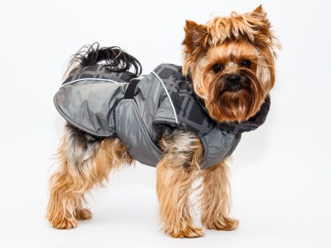 Aramis suņu ziemas veste-metēlis, M