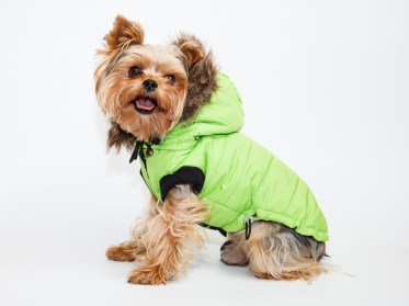 Aramis suņu apģērbs ziemas jaciņa ar kapuci