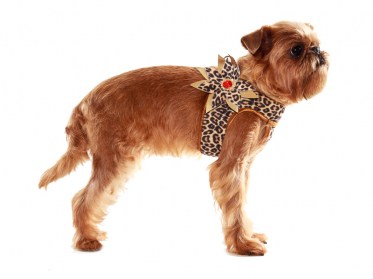 Suņu iejūgs ar puķi (kaklasiksna)