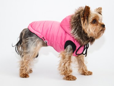 Aramis suņu apģērbs ziemas jaciņa ar kapuci