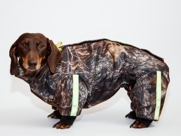 Siltināts suņu kombinezons  ar atstarotāju( taksis), XL