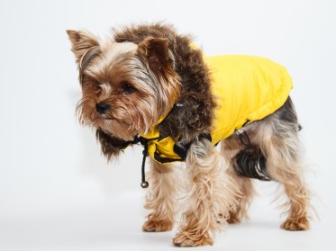 Aramis suņu apģērbs ziemas jaciņa ar kapuci