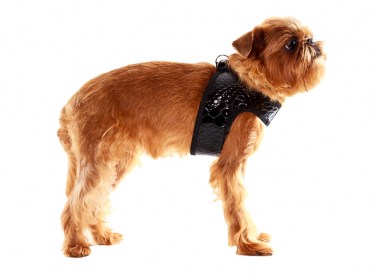 Suņu iejūgs (kaklasiksna) no  mākslīgās ādas