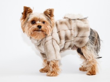 Silts pelēks mākslīgais suņu kažociņš,mētelis (ūdele), XS