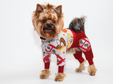 Aramis  suņu apģērbs  -  trikotāžas kostīms, kombinezons