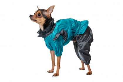 Elegants suņu lietusmētelis